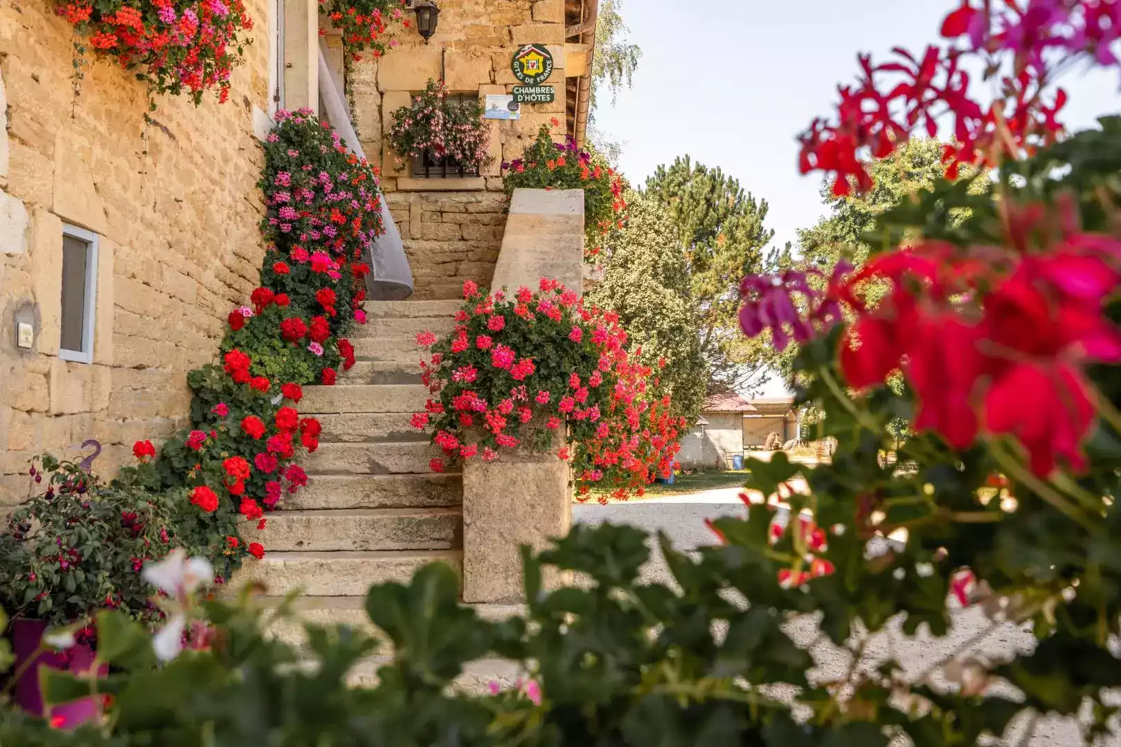 Entrée fleurie de la chambre d'hôtes L'agnoblens avec des escaliers en pierre et des pots de géraniums rouges